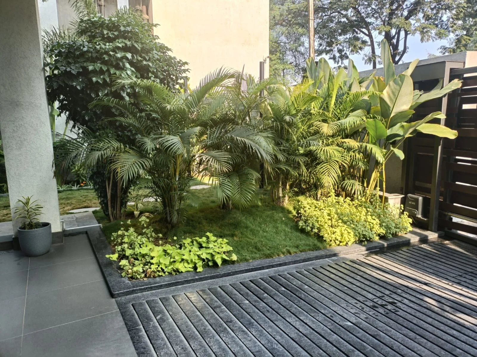 Roof Garden